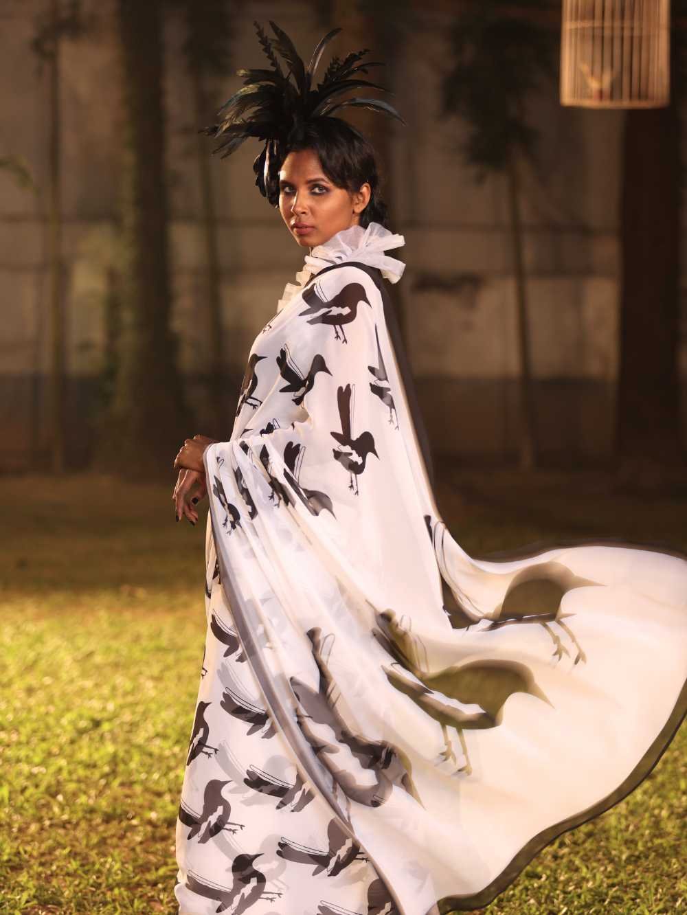 Magpie robin’s day out